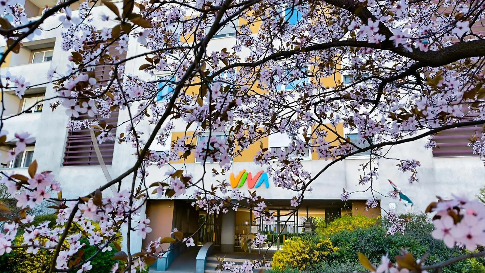Studio Viva - Cosy Flat In Budapest - Free Parking
